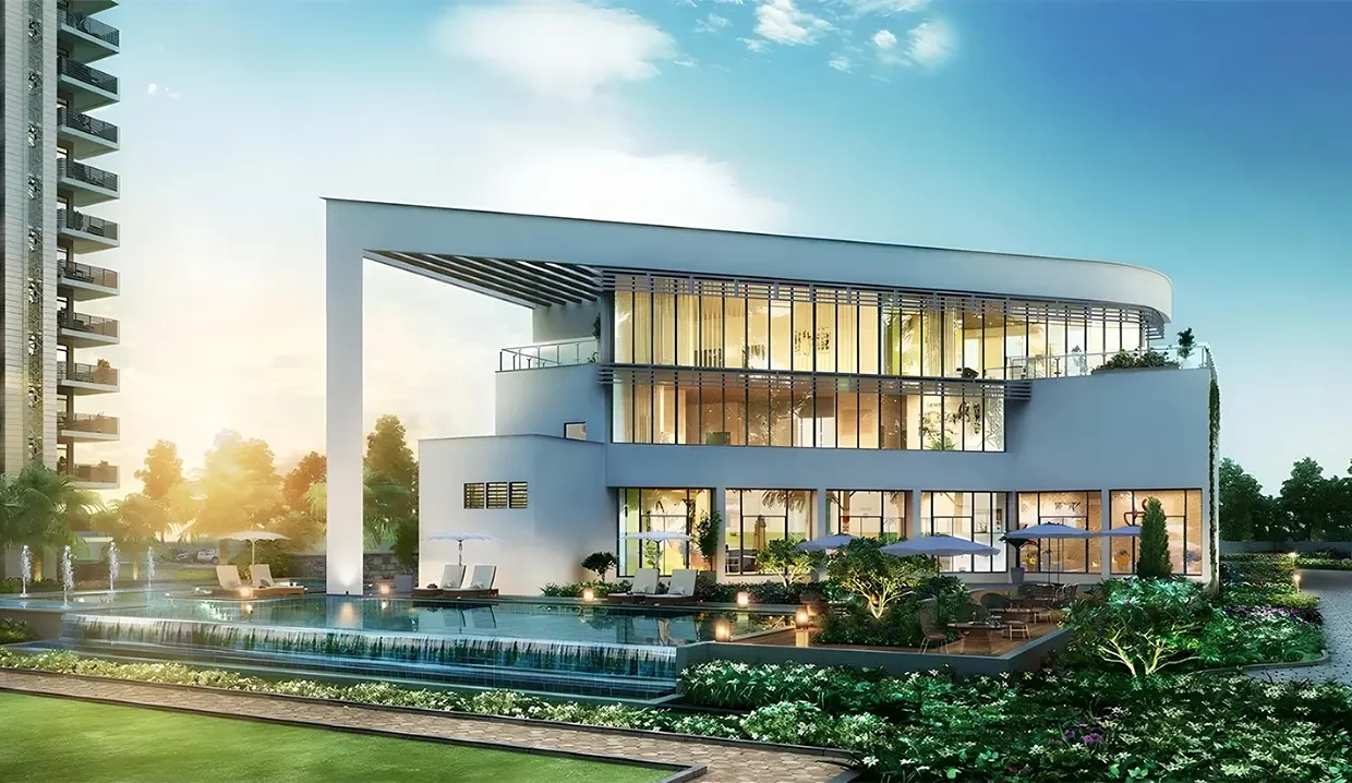 2024-11-19T13-17-54_gall1